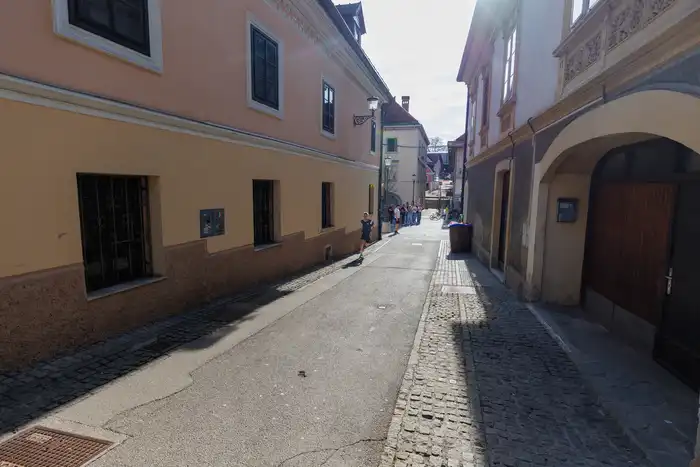 101775665046avtor-Jani-Brajkovič JB_M4325.webp-nm-tek.si